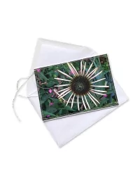 Glückwunsch- & Gruss Karte genäht - Echinacea weiss Aussenseite