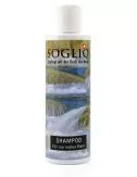 Haarpflege Shampoo normales Haar - Flüssigseife vegan