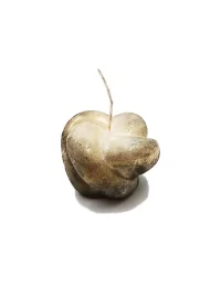 Olivenwachs-Kerze Knoten - kleine
