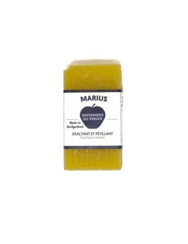 Provence Marius Gesicht-