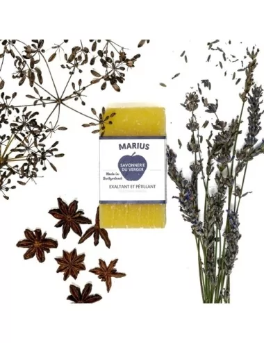 Provence Marius Gesicht-