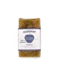 Bretonische Ouessant Hand- & Duschseife - Naturseife mit Algen & Spirulina - ohne Deko