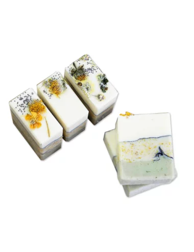 Naturseife Hand- & Peelingseife - Garten - Vegan vorne